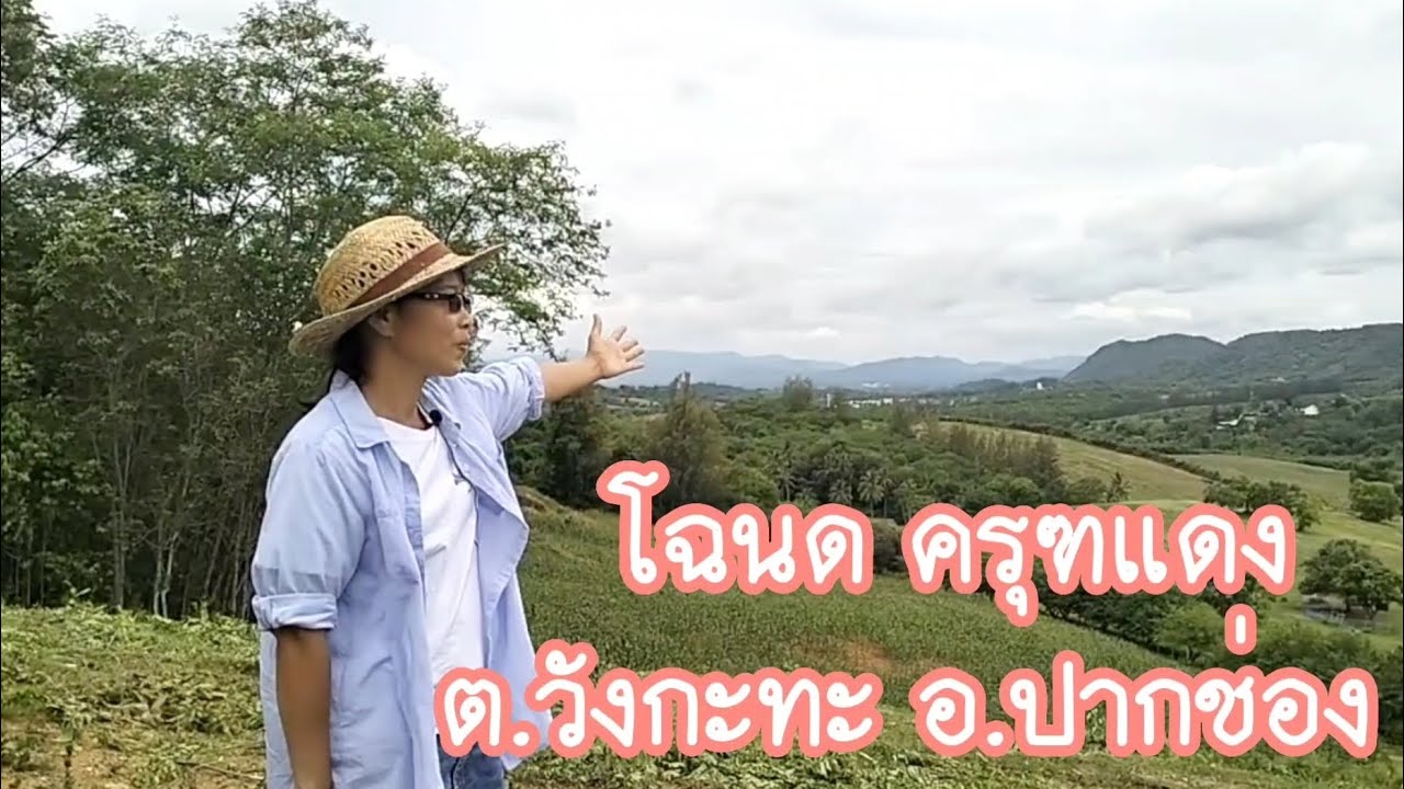 (ปิดการขาย)ขายที่ดินเขาใหญ่ วิวเขา 360 องศา-ฝโฉนดครุฑแดง 8ไร่ ที่ตั้ง ต.วังกะทะ อ.ปากช่อง
