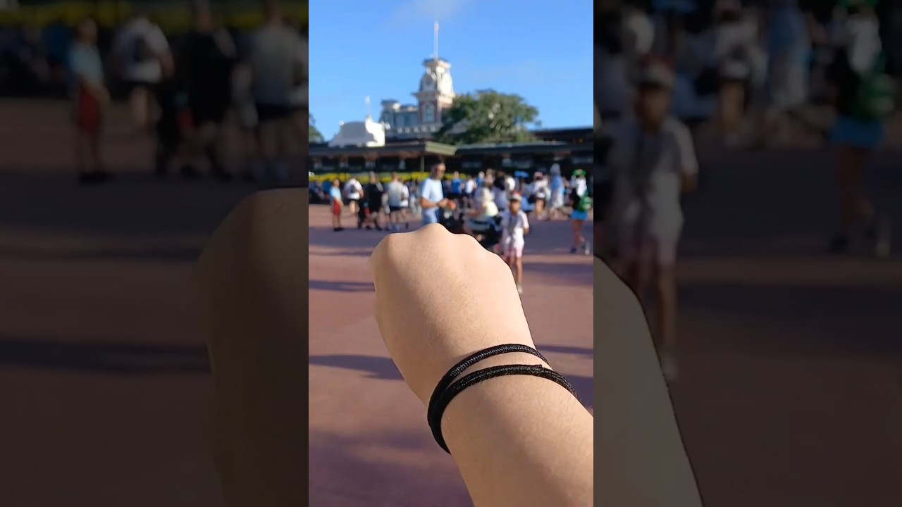 Disneyworld transition ✨️✨️✨️