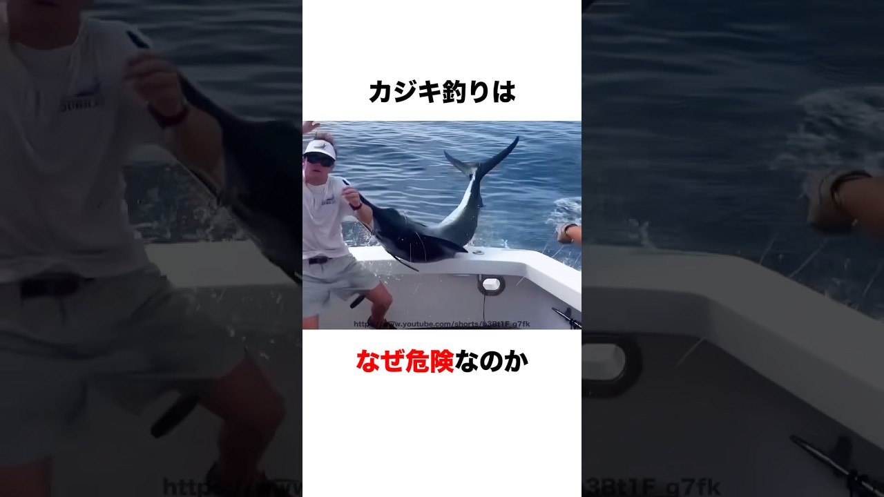カジキ釣りが危険な理由⚠️
