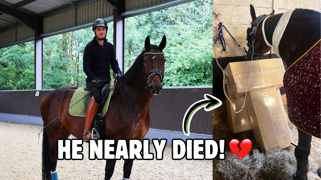 HENRY'S FIRST RIDE ON THE NEW HORSE | He Hasn't Had An Easy Start!