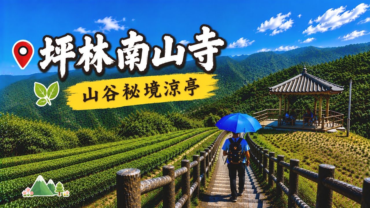 新北坪林 | 南山寺仙公廟 | 隱身山谷的小涼亭 | 低海拔就有夢幻雲海 | 走入茶鄉深處 | 獅公髻尾山眺望茶園與山嵐 | 回程吃蜜蜂花粉好像綠豆糕 | 路程超短環山景點快來收藏•114/10/13