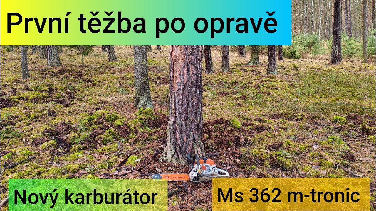 Stihl Ms 362 m-tronic dostala nový karburátor, těžba dřeva, Zetor 7245, Agama aga 2, JP Forest 