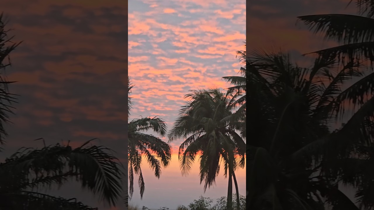 А ты так чилил когда?#chill #vibe #atmosphere #hiphop #рэп #закат #travelvibes #chillrap #flow #bass