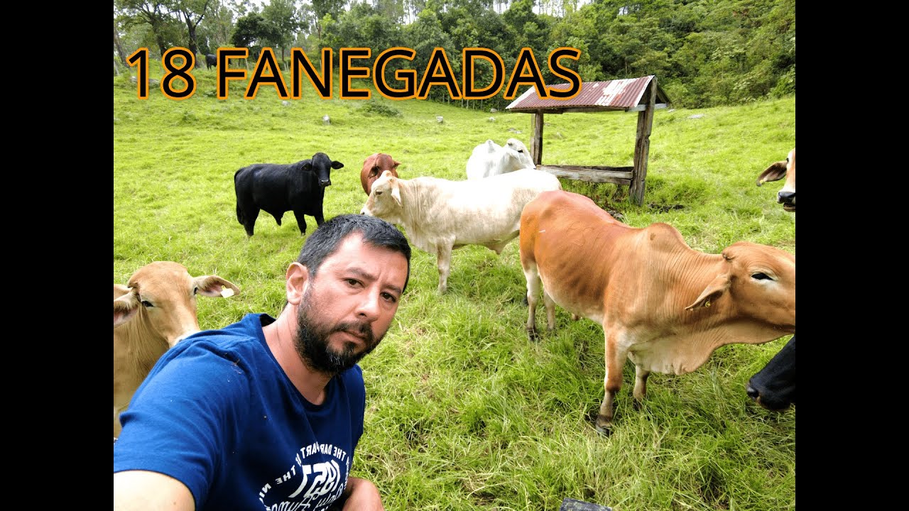FINCA EN VENTA EN SAN FRANCISCO CUNDINAMARCA 18 FANEGADAS. 1.100 MILLONES