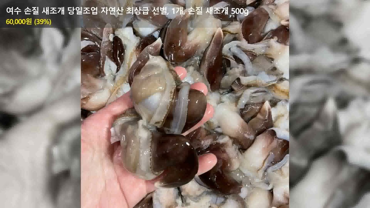 여수 손질 새조개 당일조업 자연산 최상급 선별, 1개, 손질 새조개 500g