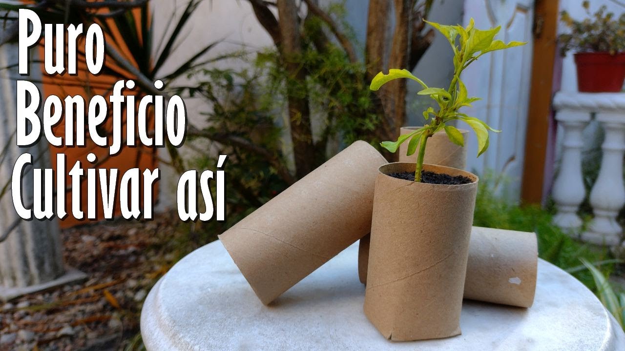 ¡No los tires! VALE ORO para tu Huerta y Jardín 100% BIODEGRADABLE