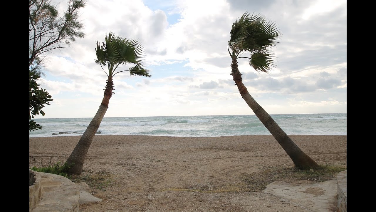 Strandspaziergang