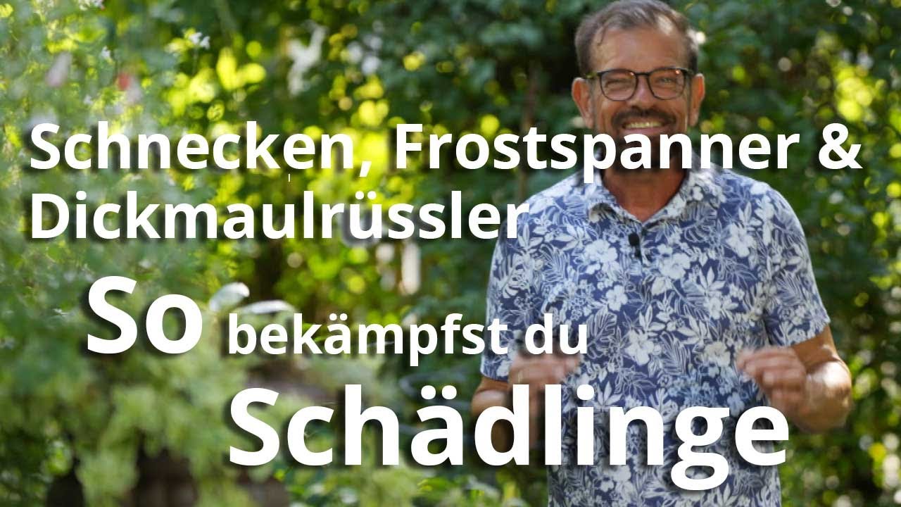 Wie du SCHNECKEN, DICKMAULRÜSSLER & FROSTSPANNER bekämpfst