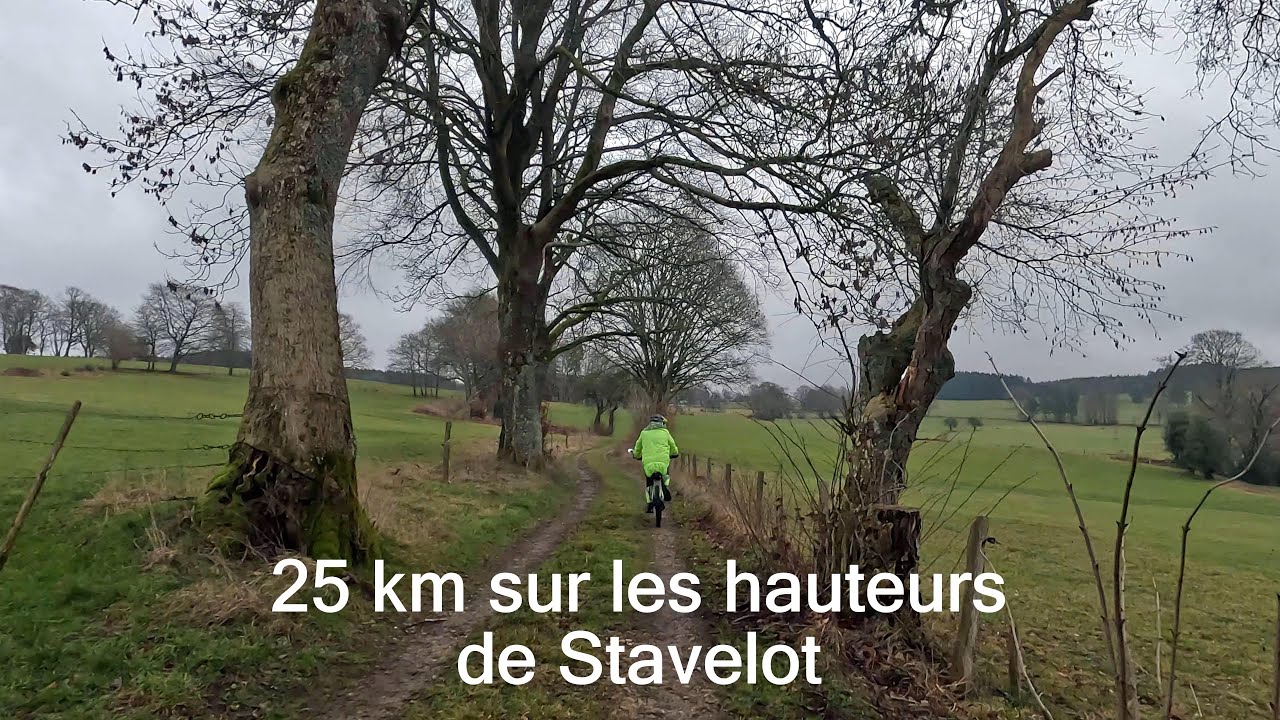 Chouette sortie hivernale dans les bois