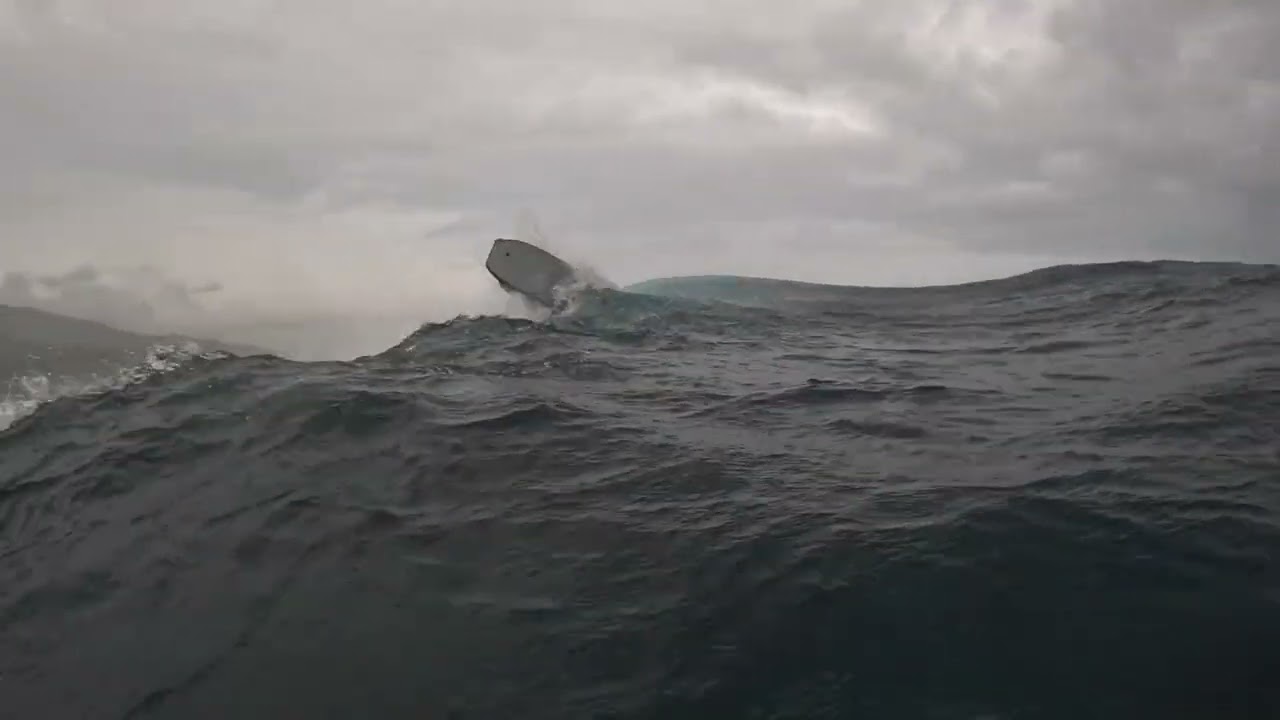 taapuna kraken 25:07:2022