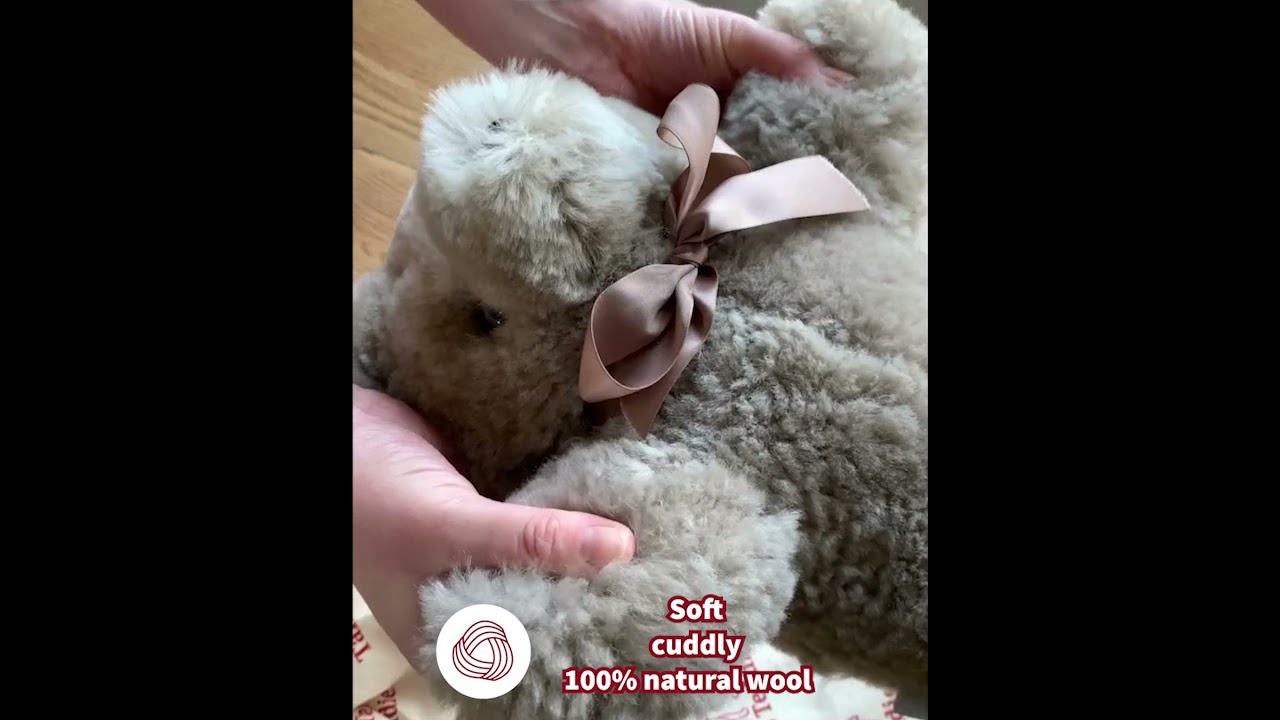 Intro  Tambo Teddies 1