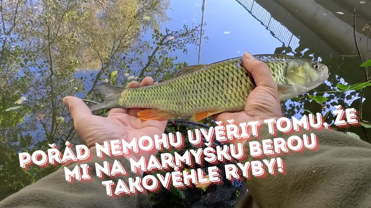 Pořád nemohu uvěřit tomu, že mi na marmyšku berou takovéhle ryby!