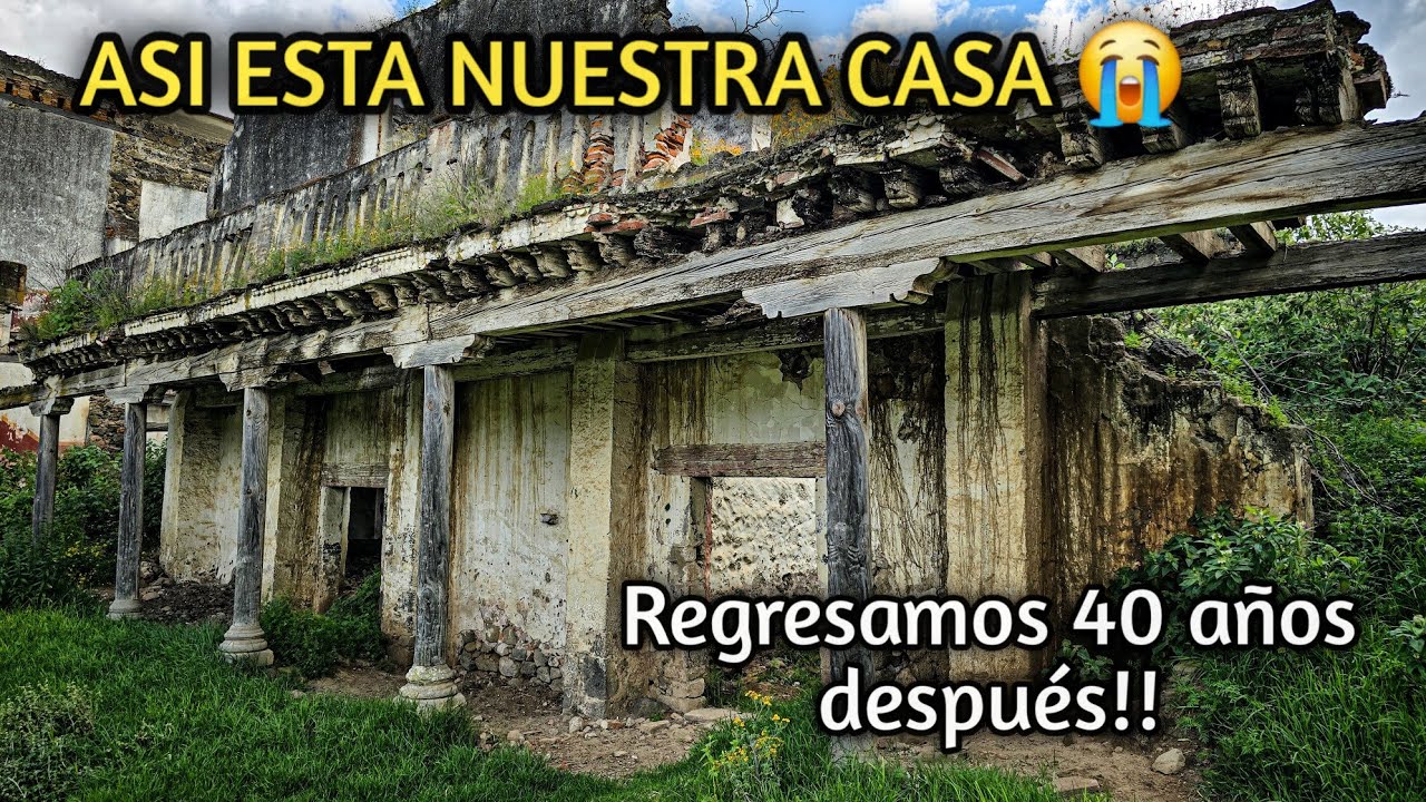 Regresaron 