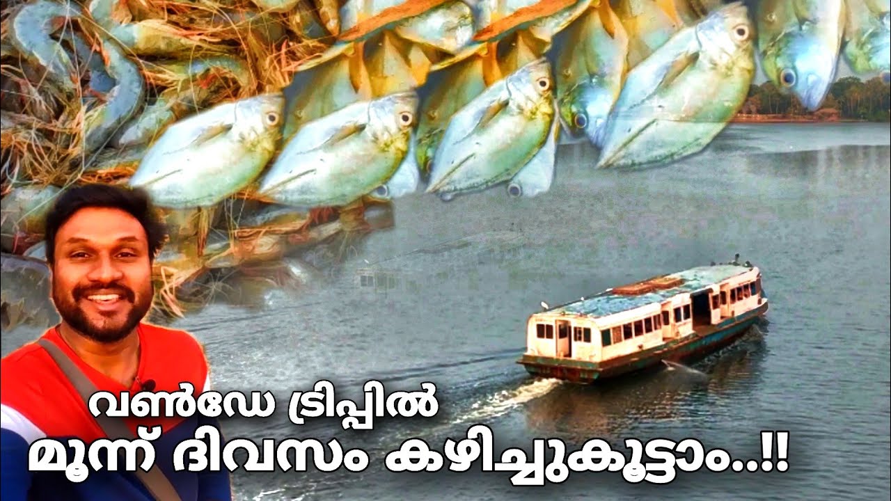 ഈ one day trip ൽ മൂന്ന് ദിവസം കഴിച്ചുകൂട്ടാം..!! | Edachal lake in Munroe island