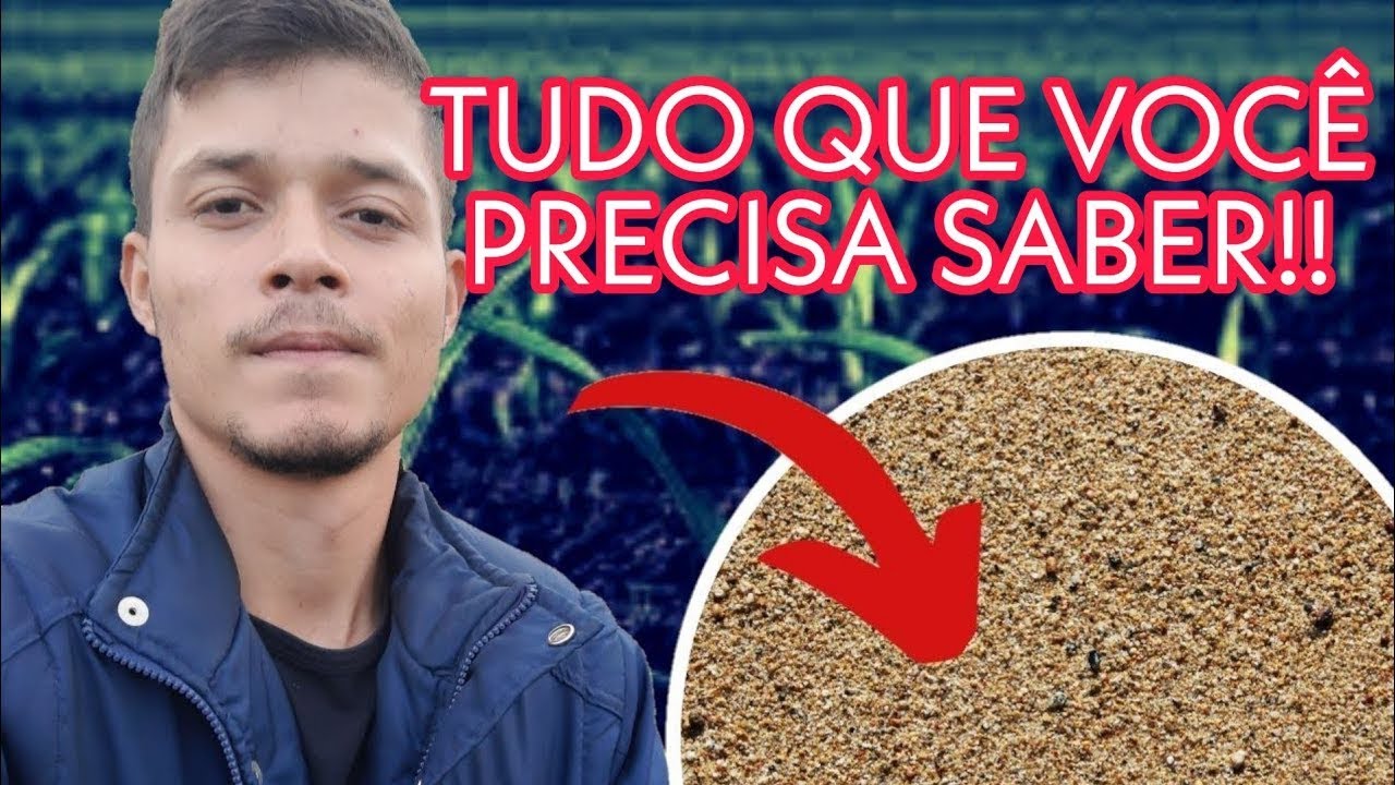 SOLOS ARENOSOS -  CUIDADOS PARA PLANTAR E COLHER DE FORMA SEGURA