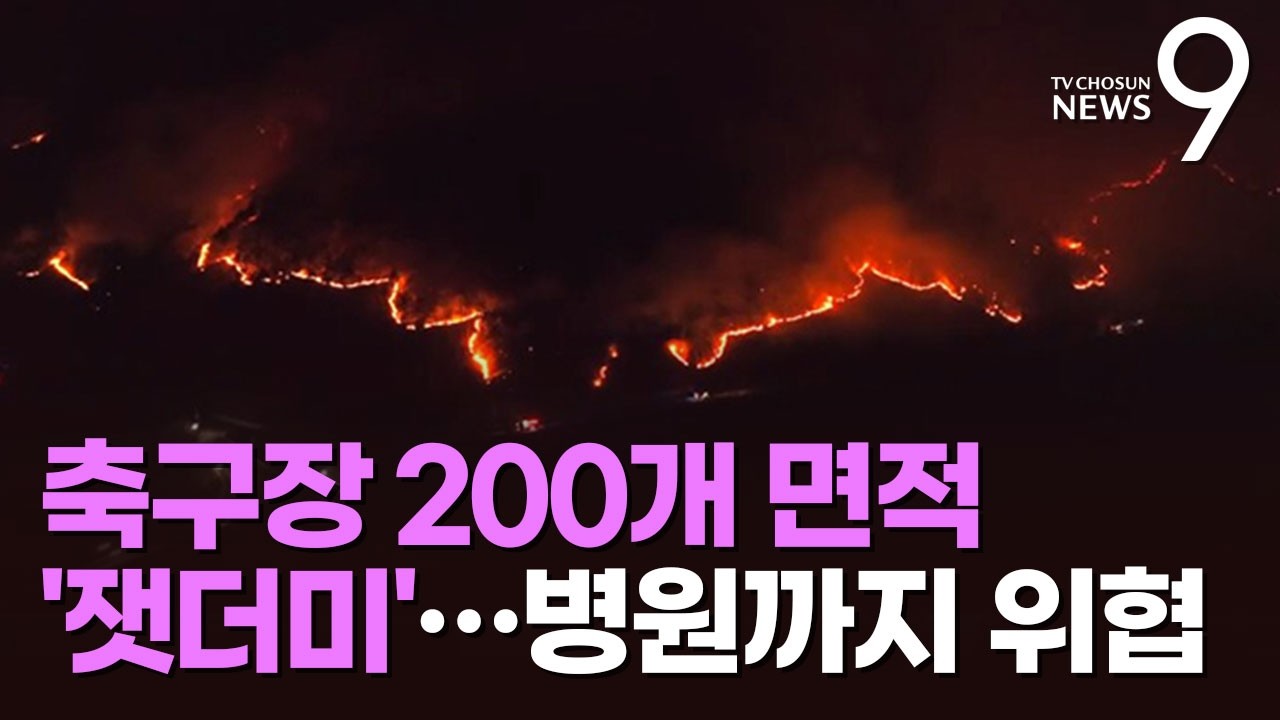 요양병원 앞까지 번진 밀양 산불, 20시간 만에 진화…'단비'도 도움 [뉴스9]