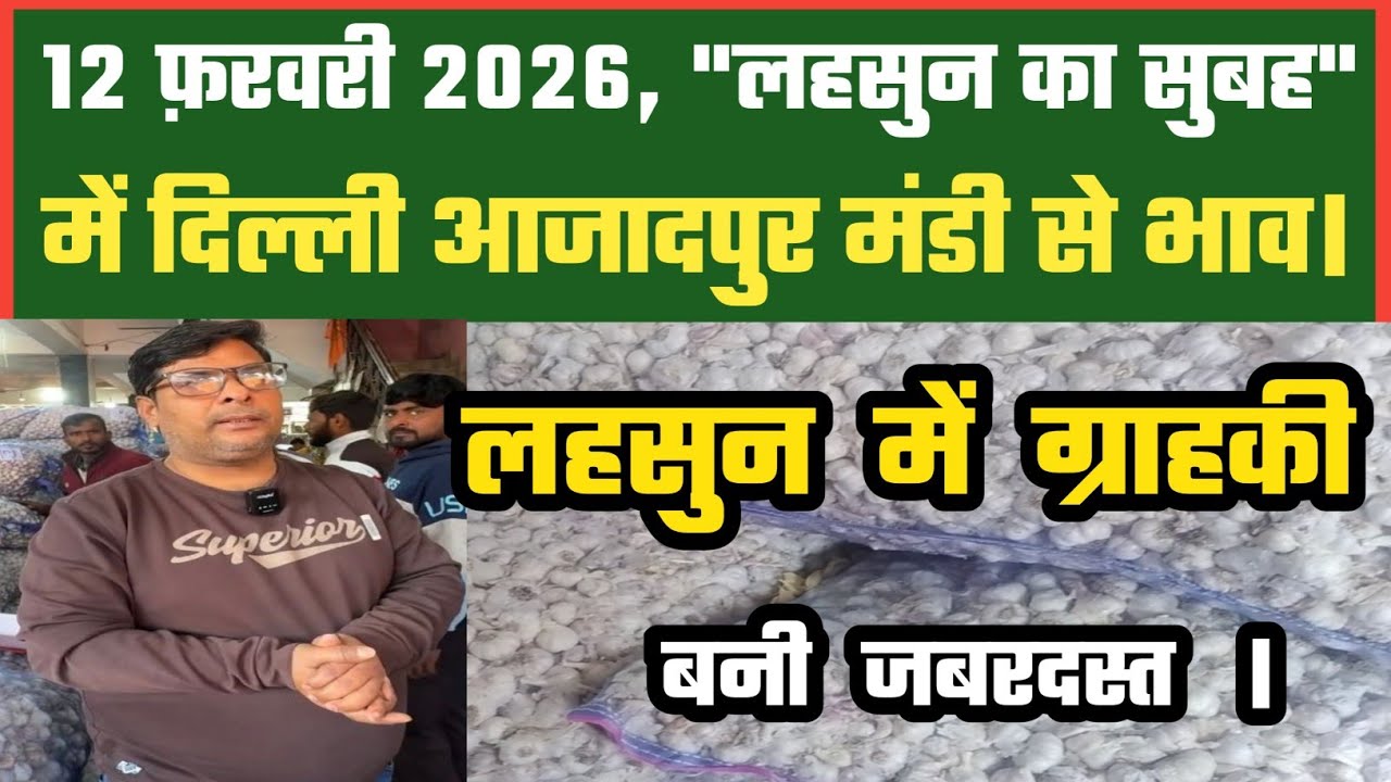 लहसुन में अच्छे संकेत ? Azadpur Delhi Mandi Today 12-02-2026 को बने ऐसे Garlic Price DMT TV