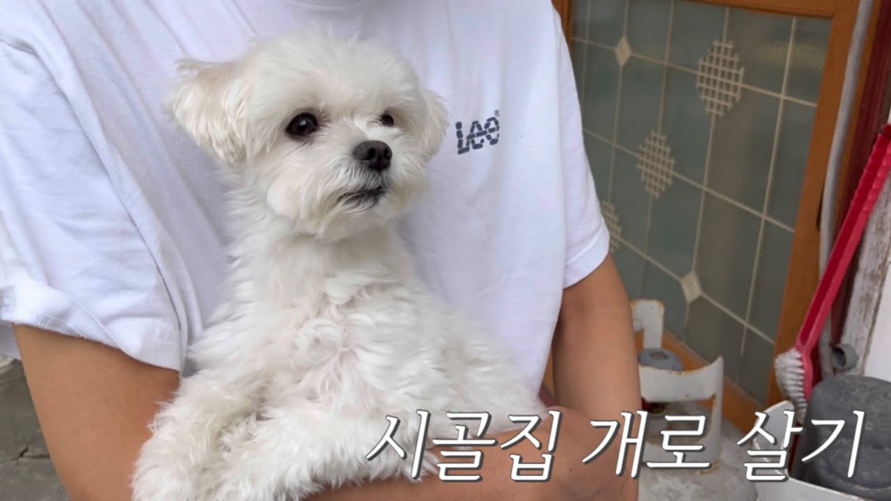 1박 2일 시골집