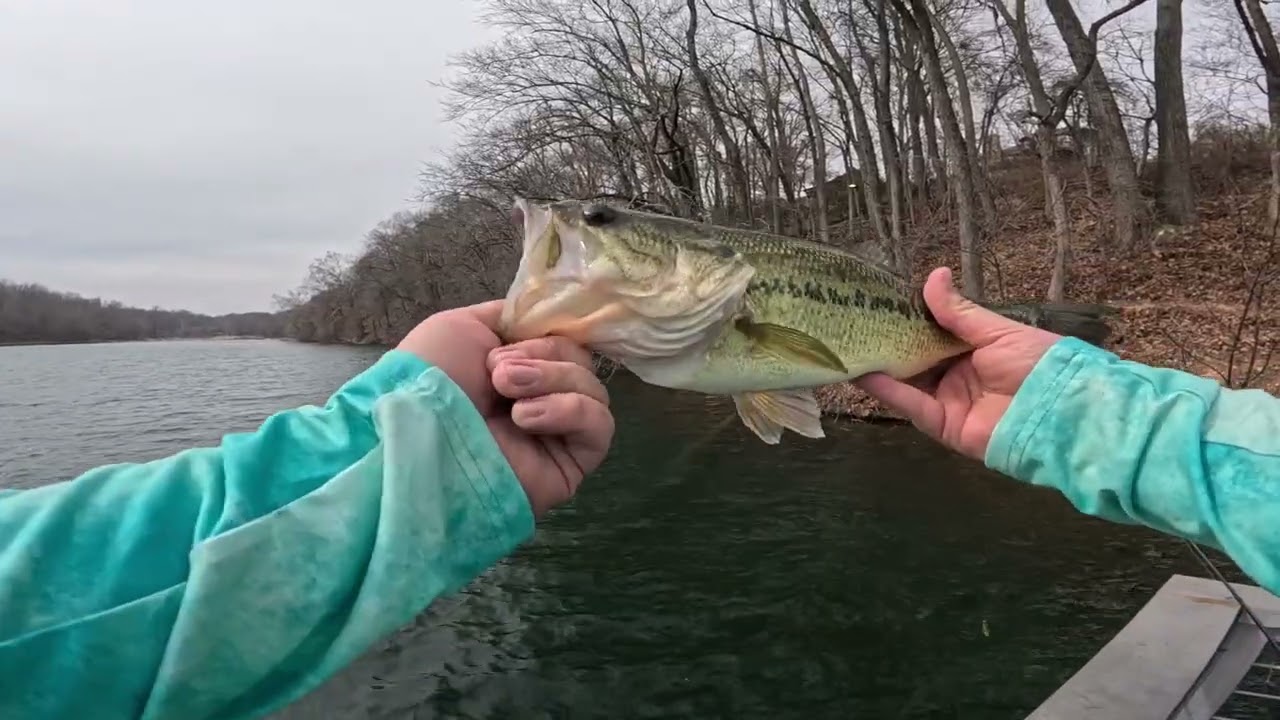 This bait SAVED my trip!