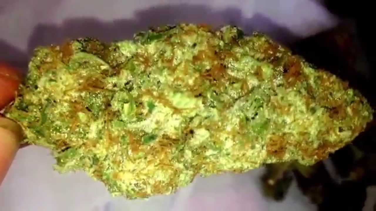 Kobe Kush Strain HD
