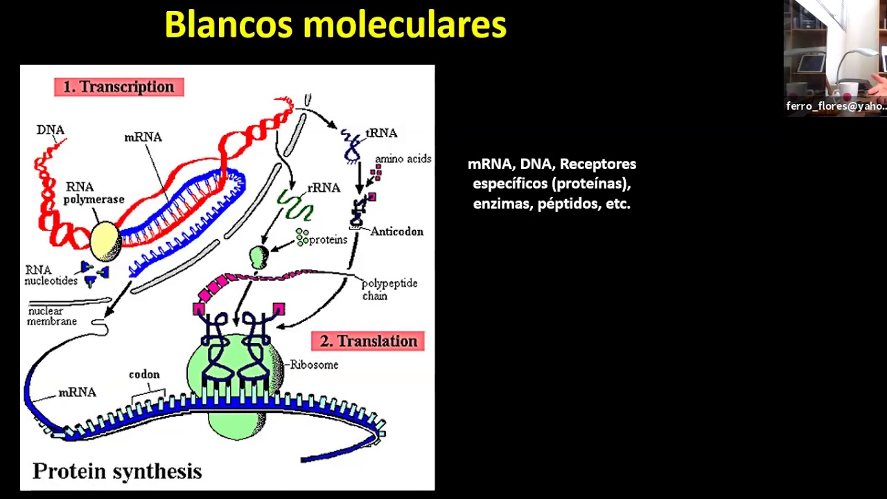 Radiofármacos para imagen molecular y radioterapia de blancos moleculares - Dra. Ferros Flores