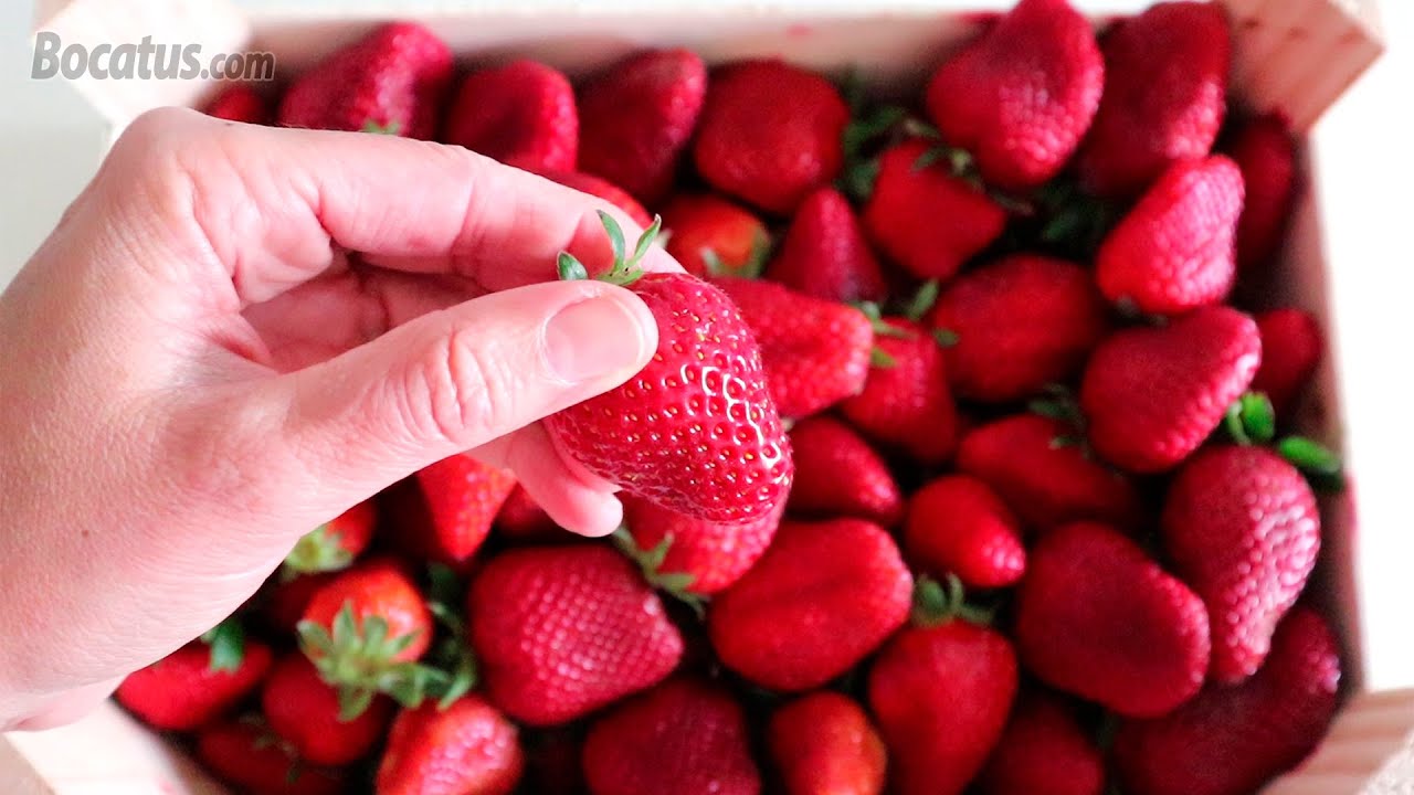 Cómo conservar Fresas para que duren más días