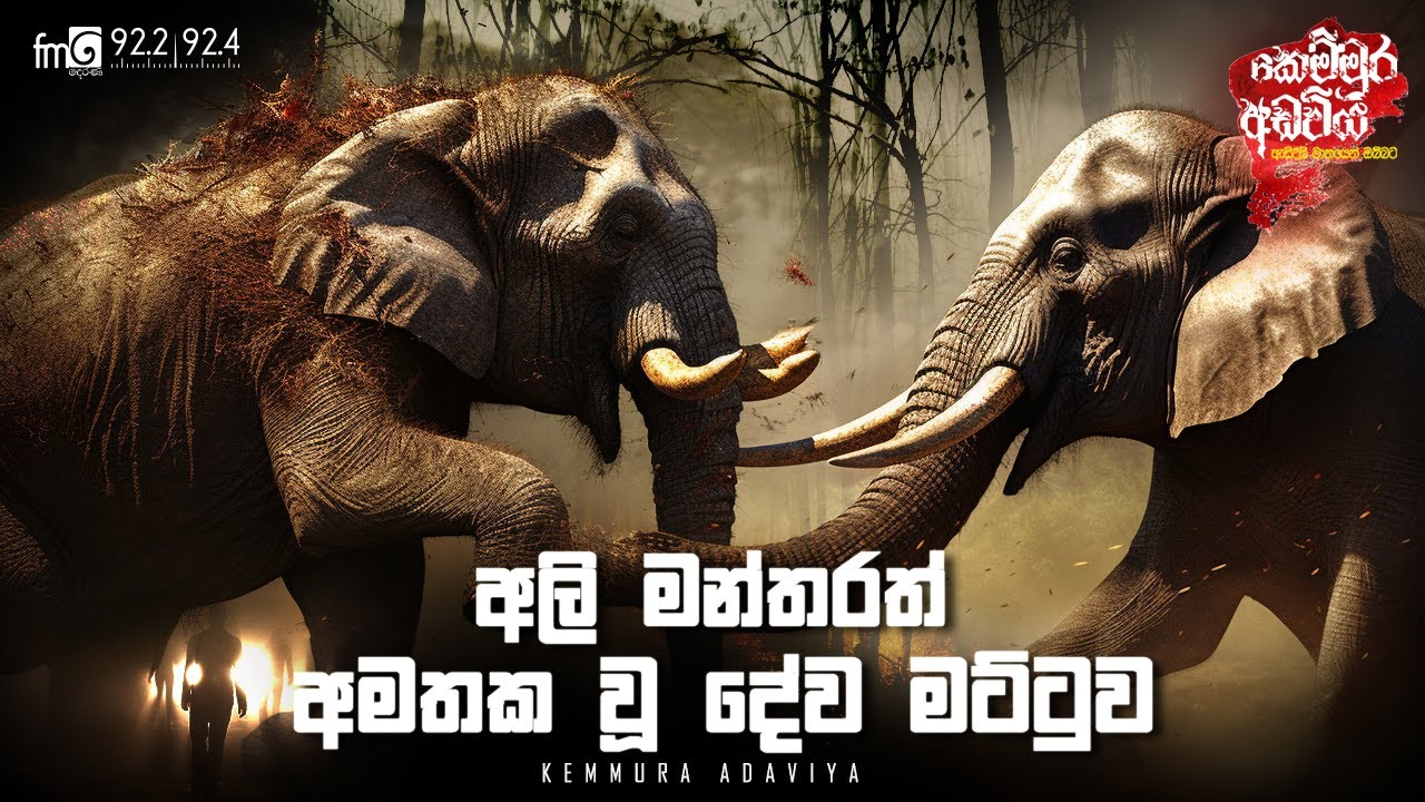 Ali Manthrayath Amathaka Wu Dewa Mattuwa | Kemmura Adaviya | FM Derana