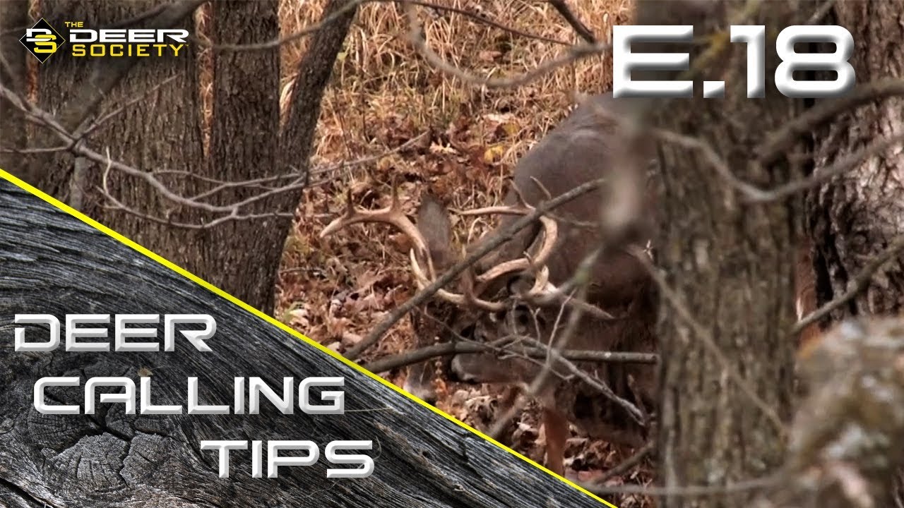 Deer Calling Tips - E.18 