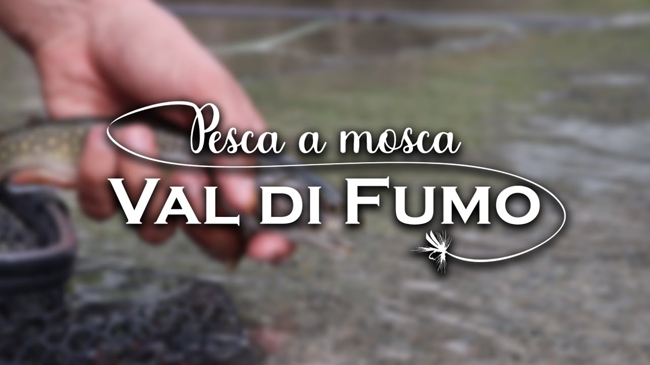 Pesca a Mosca in VAL DI FUMO - Trentino