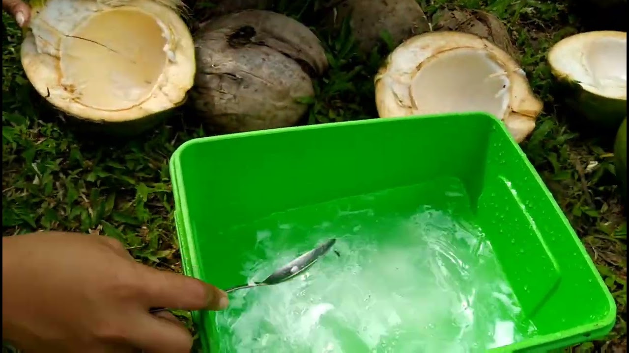 Kogihan mo kuskos sa buko