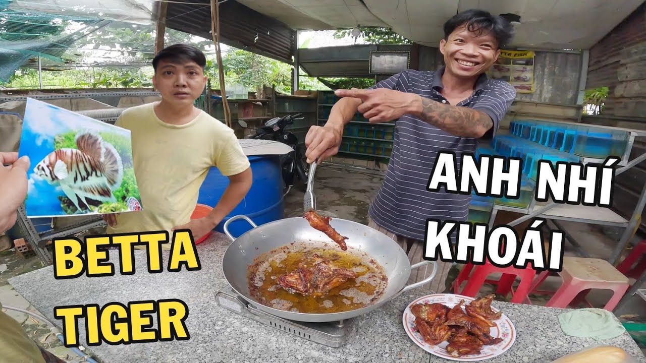 Xem phản ứng của Anh Nhí khi gặp cá Betta Tiger và món Gà Ram siêu giòn