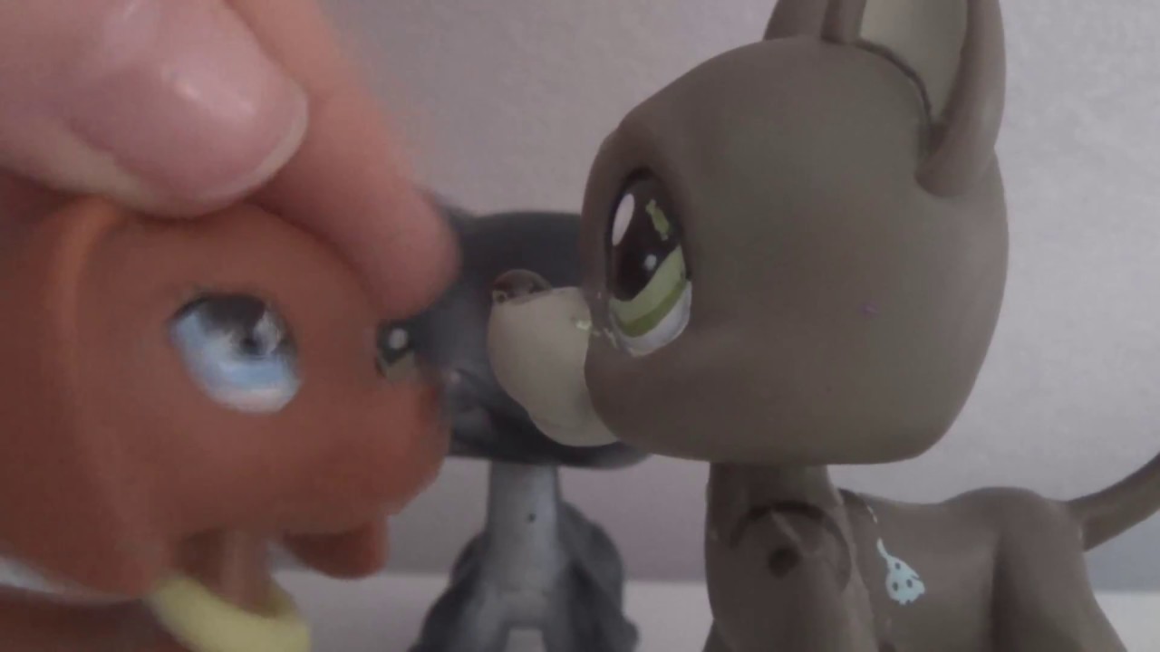 Sentiments ~ Episode 8 Saison 3(le plan de Neko)