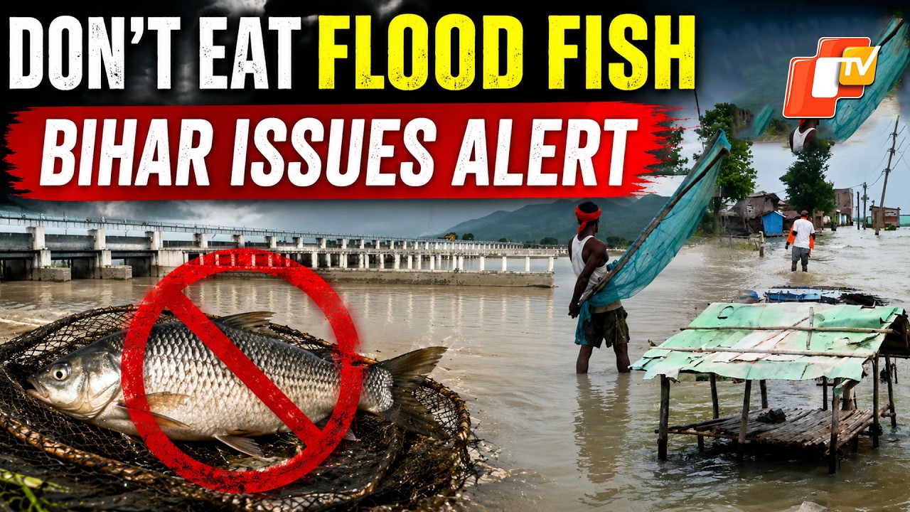 Nepal Floods Bring Strange Fish To Bihar, Govt Issues Alert Not To Consume Them