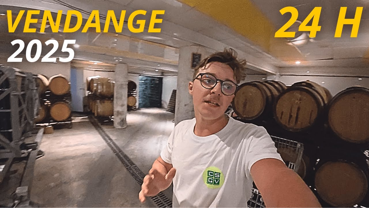 24H aux VENDANGES en CHAMPAGNE partie2