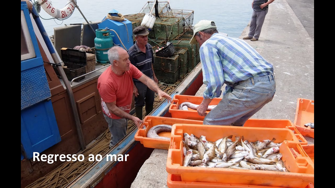 Regresso ao mar