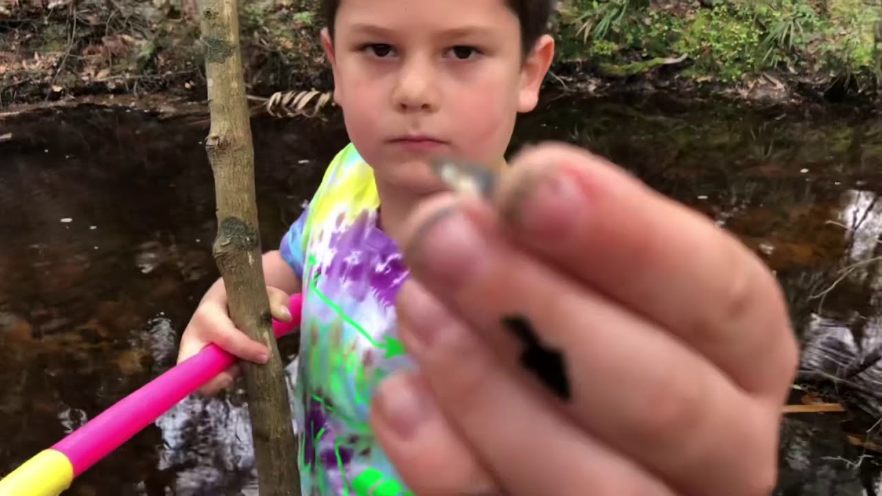 Florida Adventure Kids #7 hiking in the woods