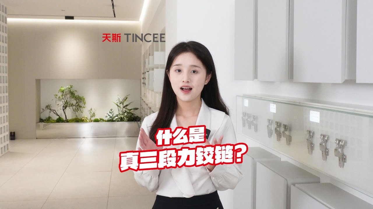 什么是真三段力铰链，今天带你用一个视频搞清楚真正的三段力铰链。