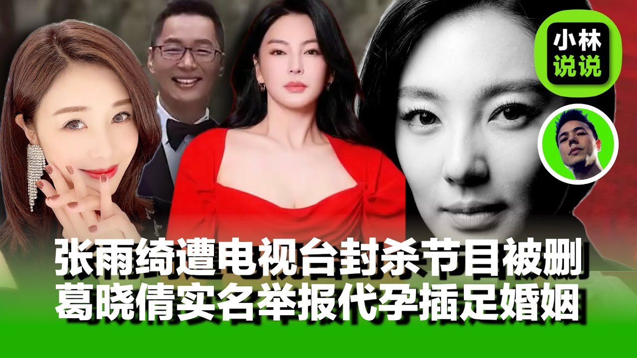 张雨绮遭电视台封杀，节目被删，代言被下架，张雨绮前夫的前女友葛晓倩，实名举报其代孕，插足婚姻，视频音频流出｜张雨绮出轨｜袁巴元｜葛晓倩｜
