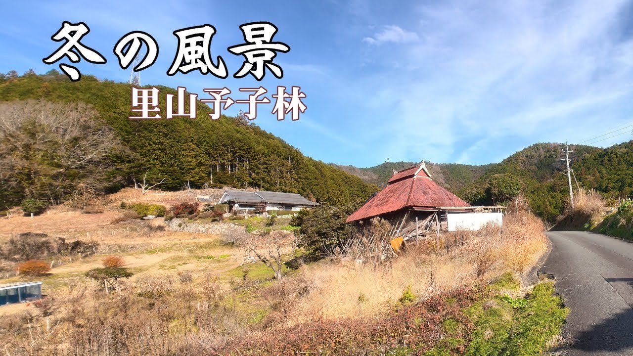冬の風景里山予子林（大洲市肱川町）