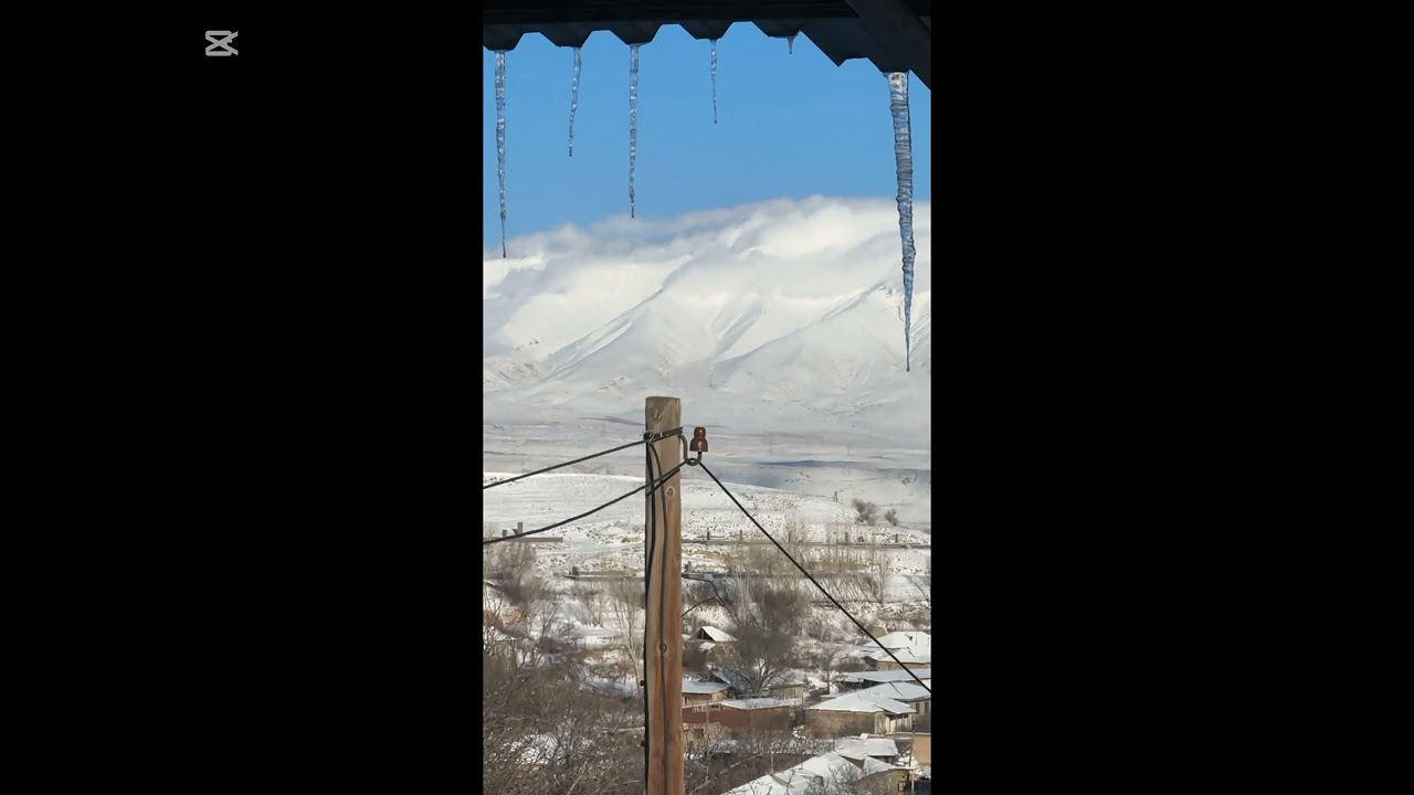 Բռնակոթ