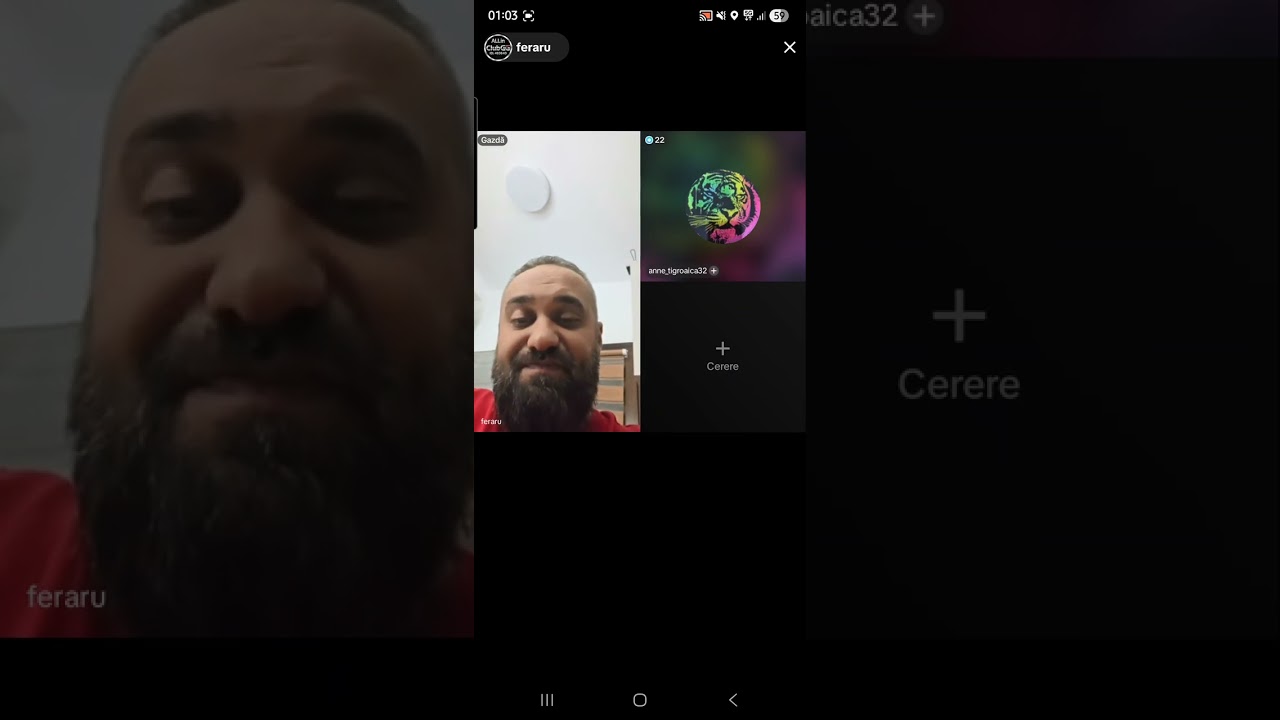 SCANDAL pe TIKTOK ❌️ FERARU ❌️ BUTUCEL ❌️ MAKAVELI ❌️ ANNE TIGROAICA 🔞 BUTUCEL a fost batut