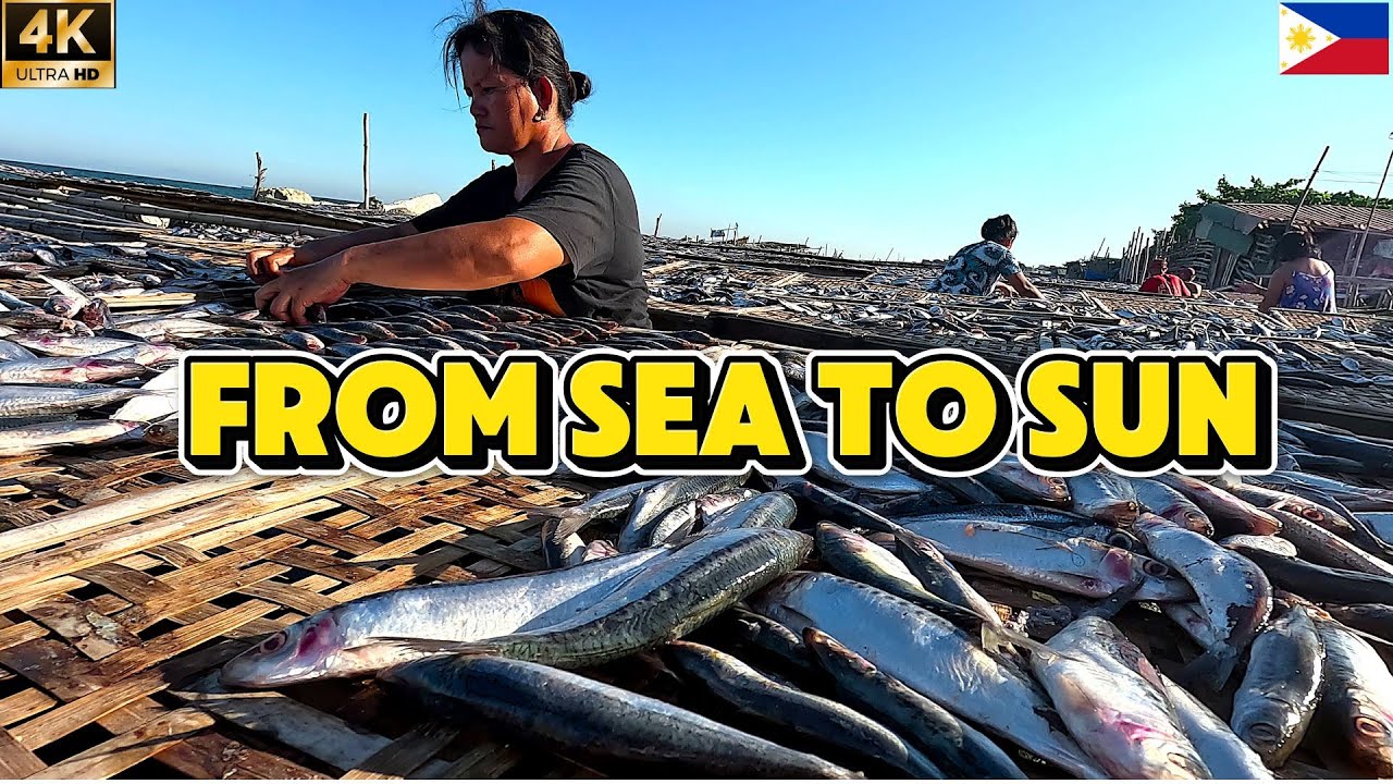 How Dried Fish Is Prepared in the Philippines | Noveleta, Cavite Tour