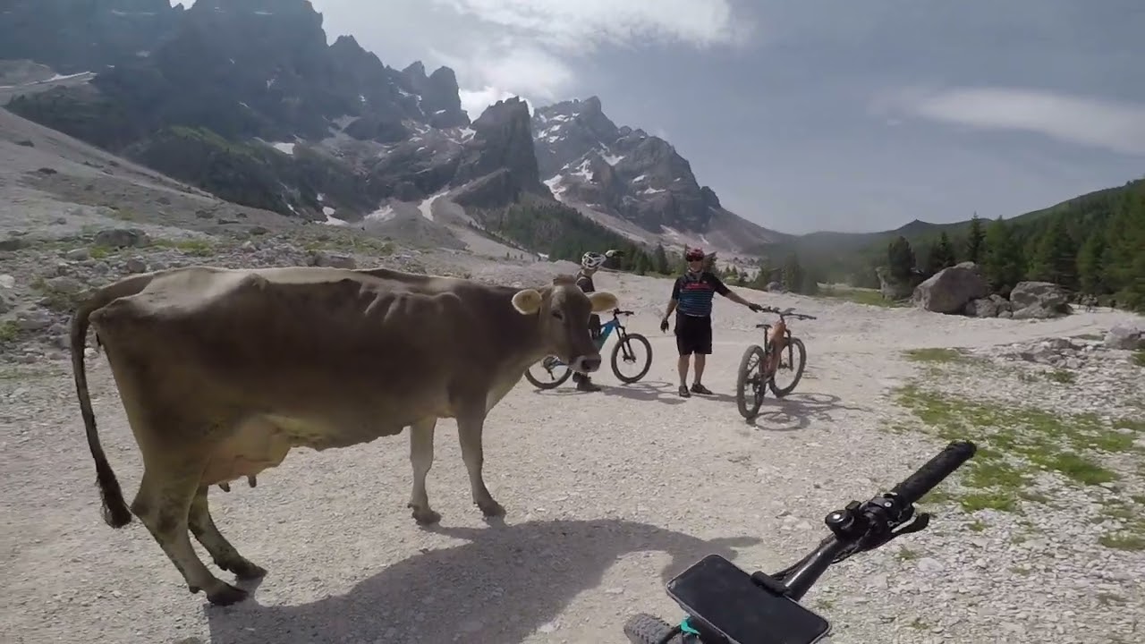Giro in mountain bike da Falcade al Passo Rolle