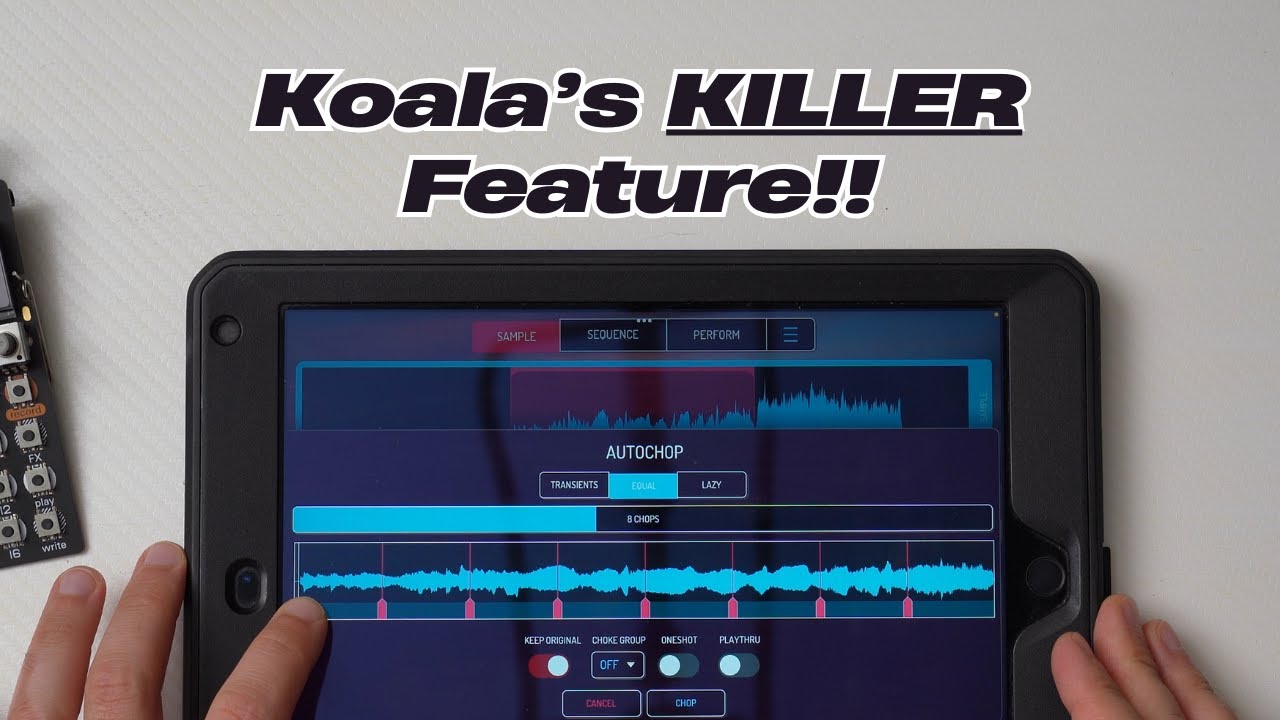 Как сэмплировать ЧТО УГОДНО в Koala Sampler!