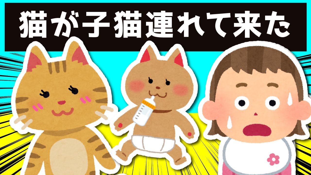 野良猫が生まれたての子猫を家に連れて来た結果ｗｗｗ