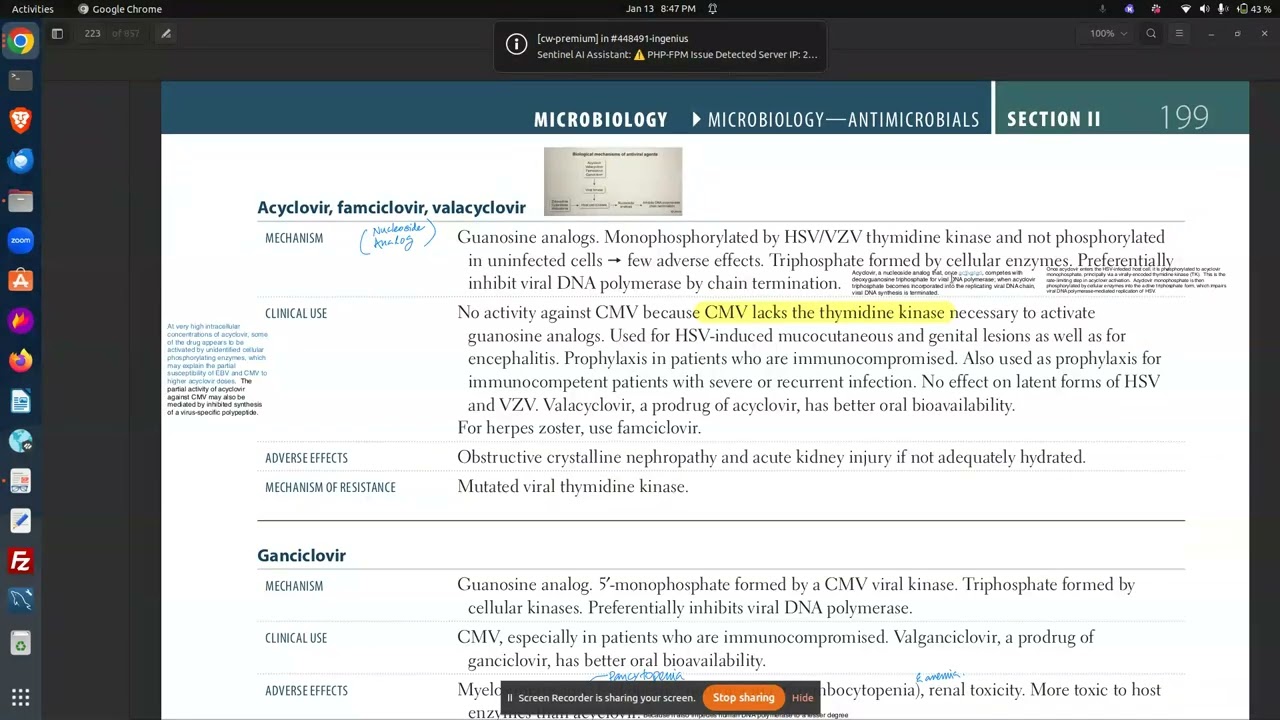 Antiviral Drugs High Yield: Acyclovir, Ganciclovir, Foscarnet, and Cidofovir