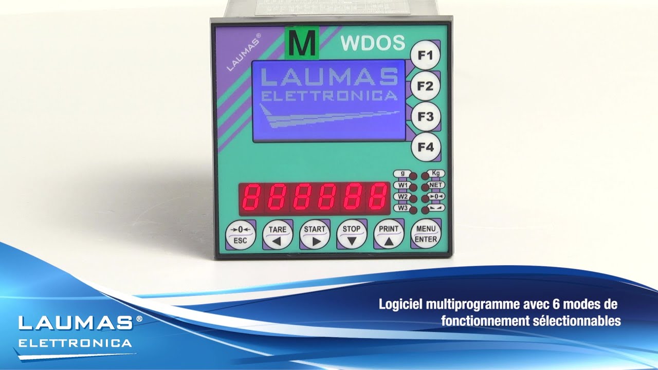 WDOS - indicateur de poids pour montage sur tableau avec double affichage - LAUMAS
