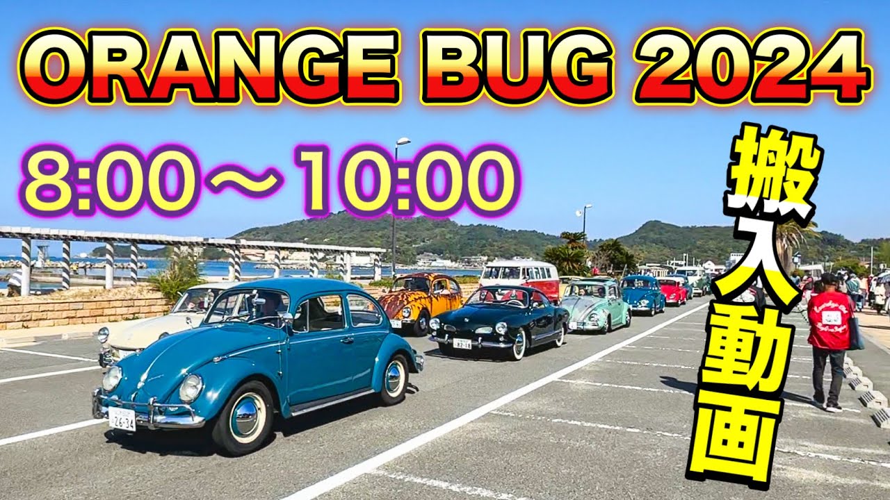 【搬入動画】オレンジバグ2024が熱い！空冷ワーゲン続々入場！【空冷ビートル】 【Volkswagen】 【Aircooled VW】