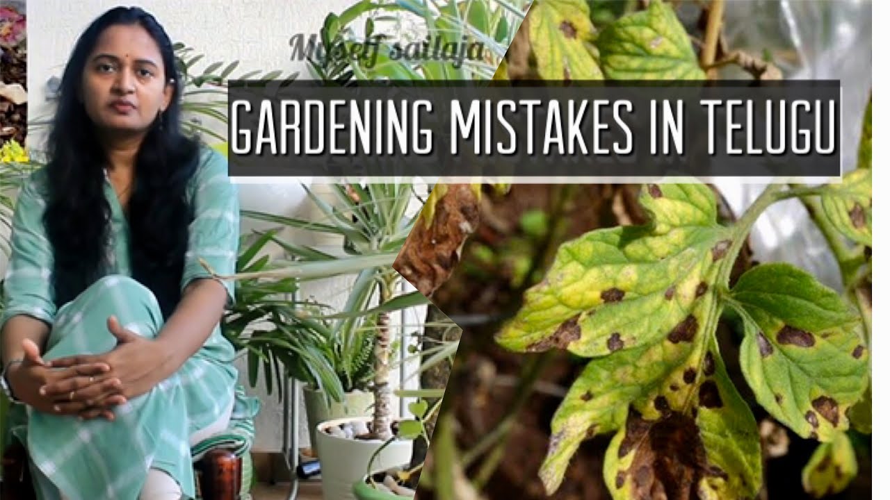 10 Common things to know before starting gardening | Gardening mistakes | myself sailaja