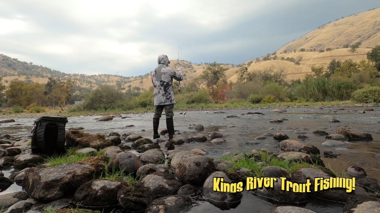 Kings River Trout Fishing - Caught tons of small ones